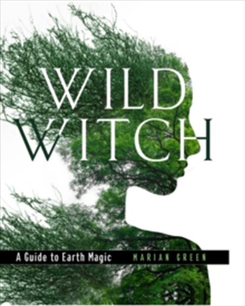 Wild Witch/Product Detail/Tarot & Astrology