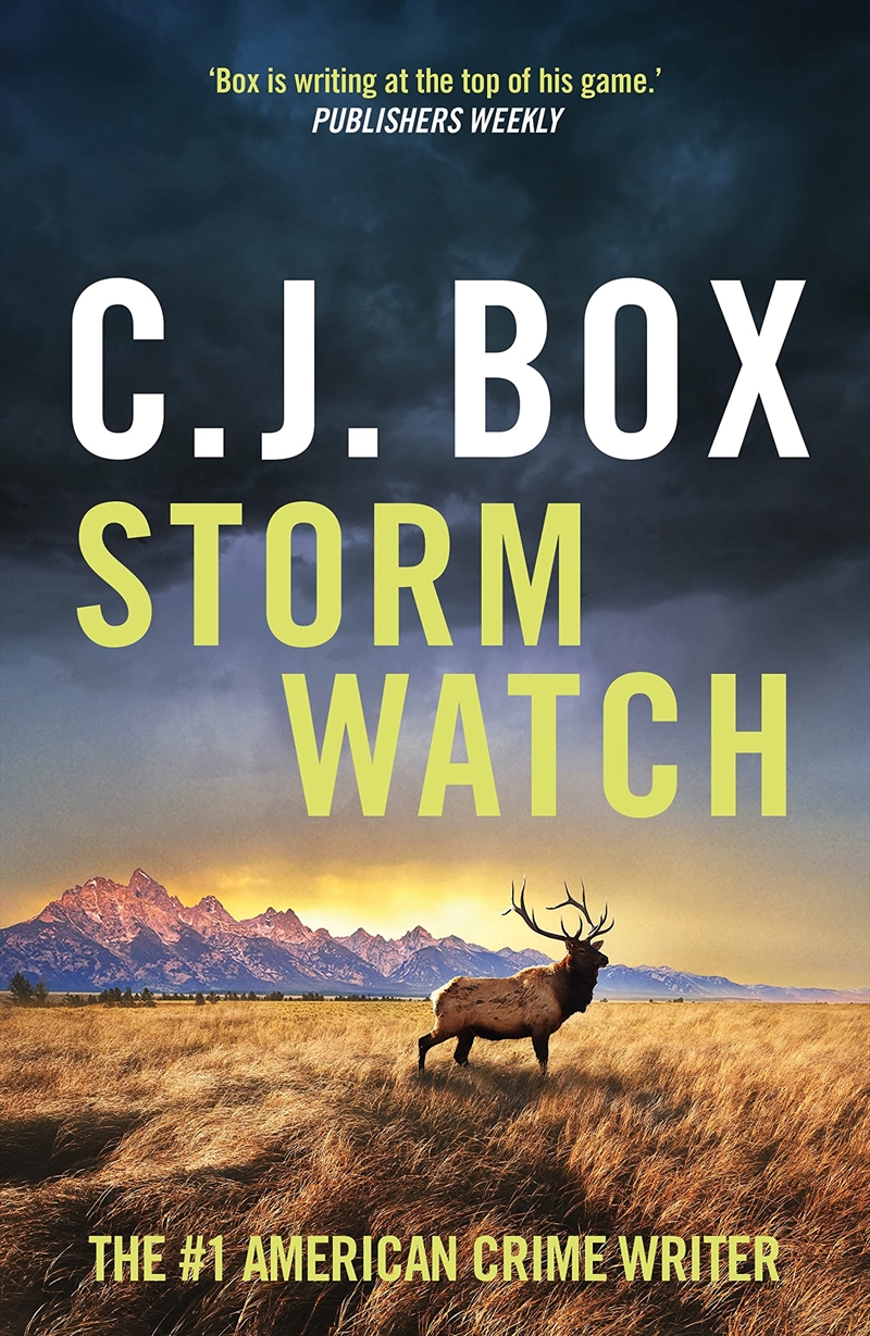 Storm Watch/Product Detail/Crime & Mystery Fiction