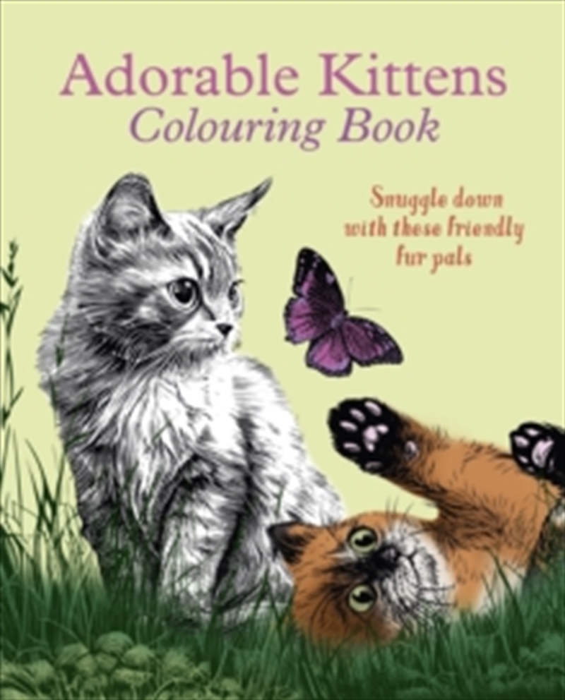 Adorable Kittens Colouring Book/Product Detail/Crafts & Handiwork