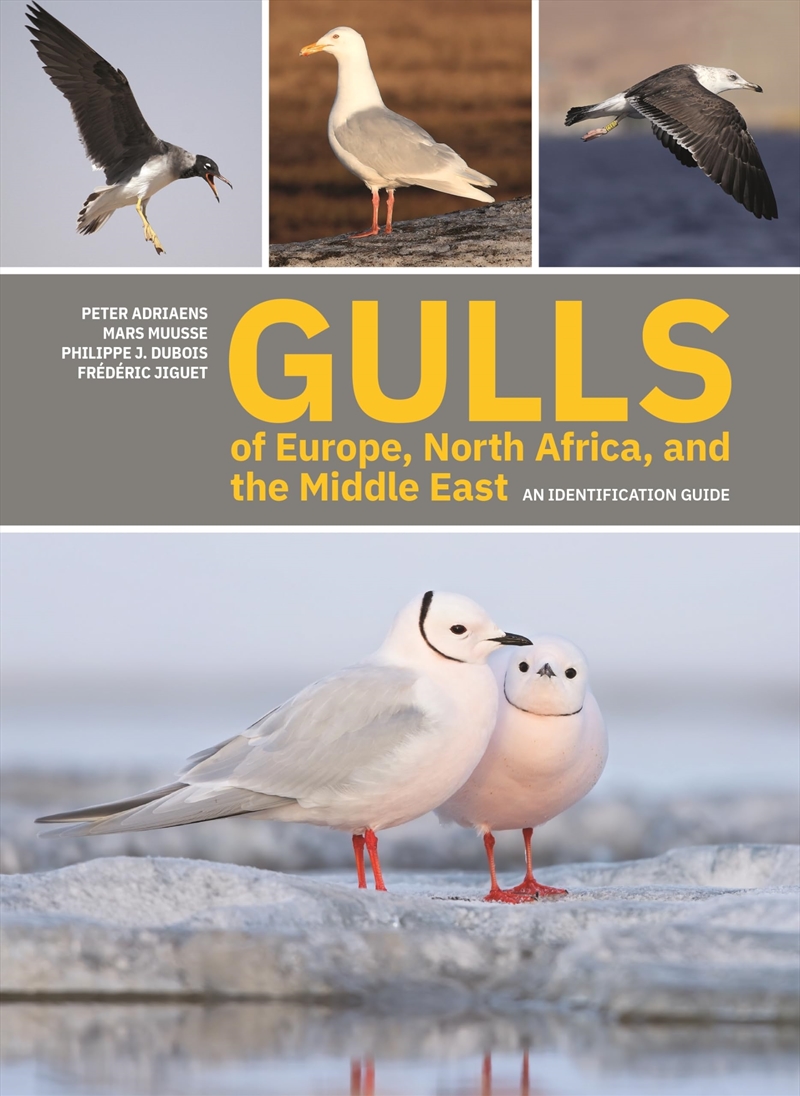 Gulls of Europe, North Africa, and the Middle East: An Identification Guide/Product Detail/Animals & Nature