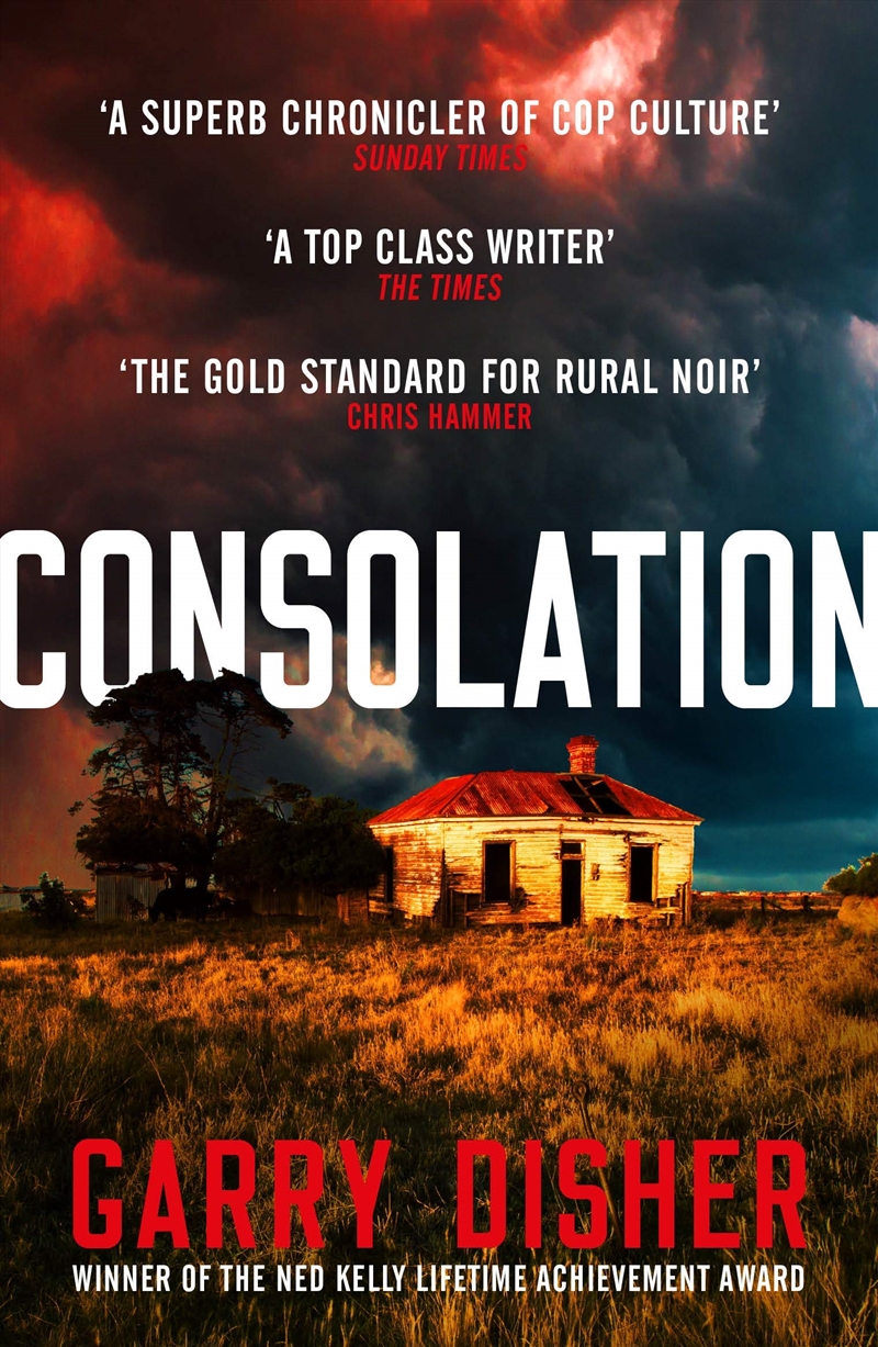 Consolation: Constable Hirsch Mysteries 3/Product Detail/Crime & Mystery Fiction