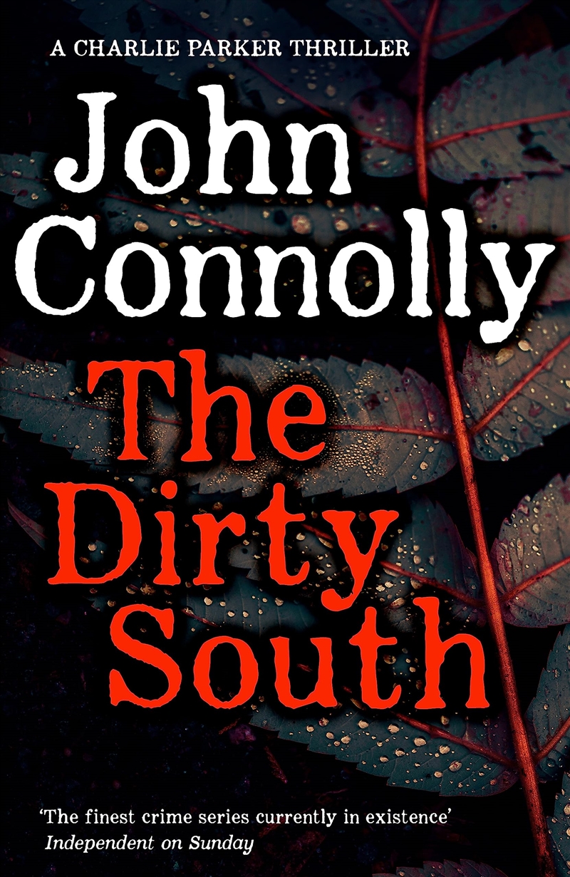 Dirty South/Product Detail/Crime & Mystery Fiction