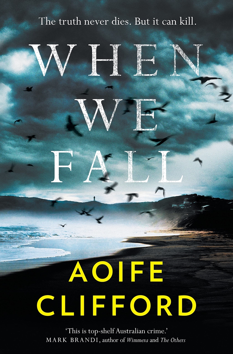 When We Fall/Product Detail/Crime & Mystery Fiction