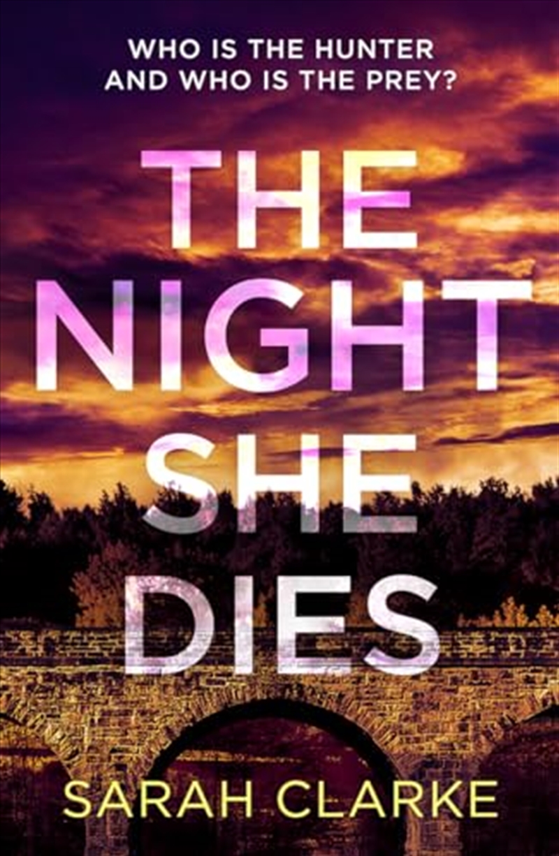 The Night She Dies/Product Detail/Crime & Mystery Fiction