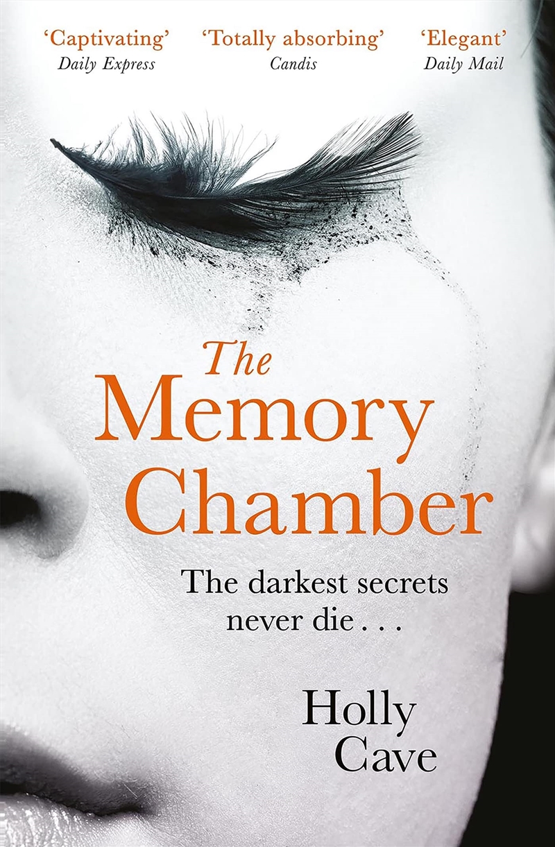 Memory Chamber/Product Detail/Crime & Mystery Fiction