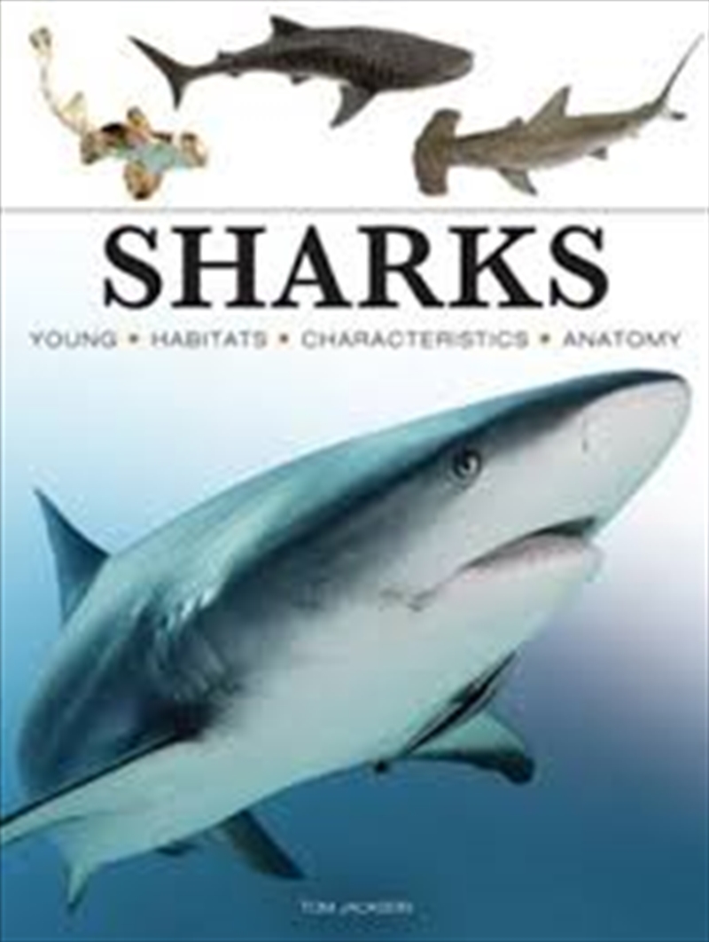 Sharks & Underwater Predators/Product Detail/Animals & Nature