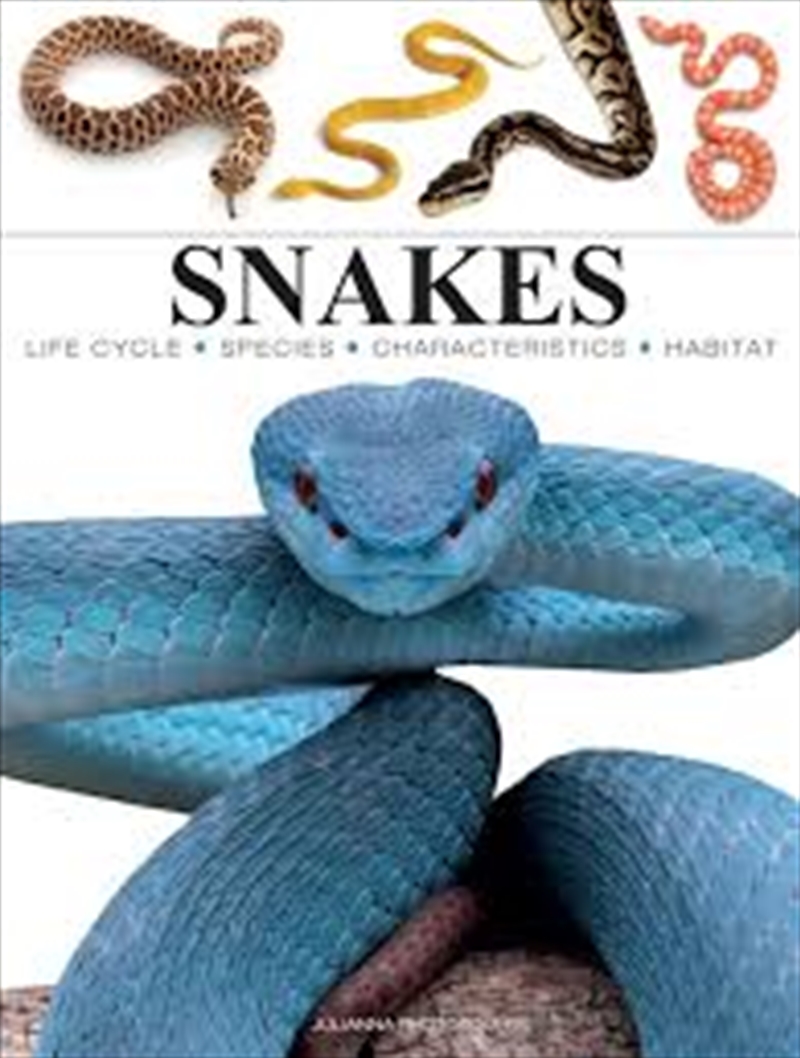 Snakes/Product Detail/Animals & Nature