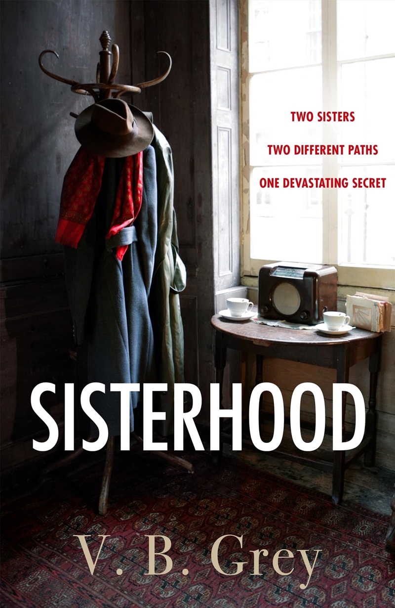 Sisterhood: A heartbreaking mystery of family secrets and lies/Product Detail/Crime & Mystery Fiction