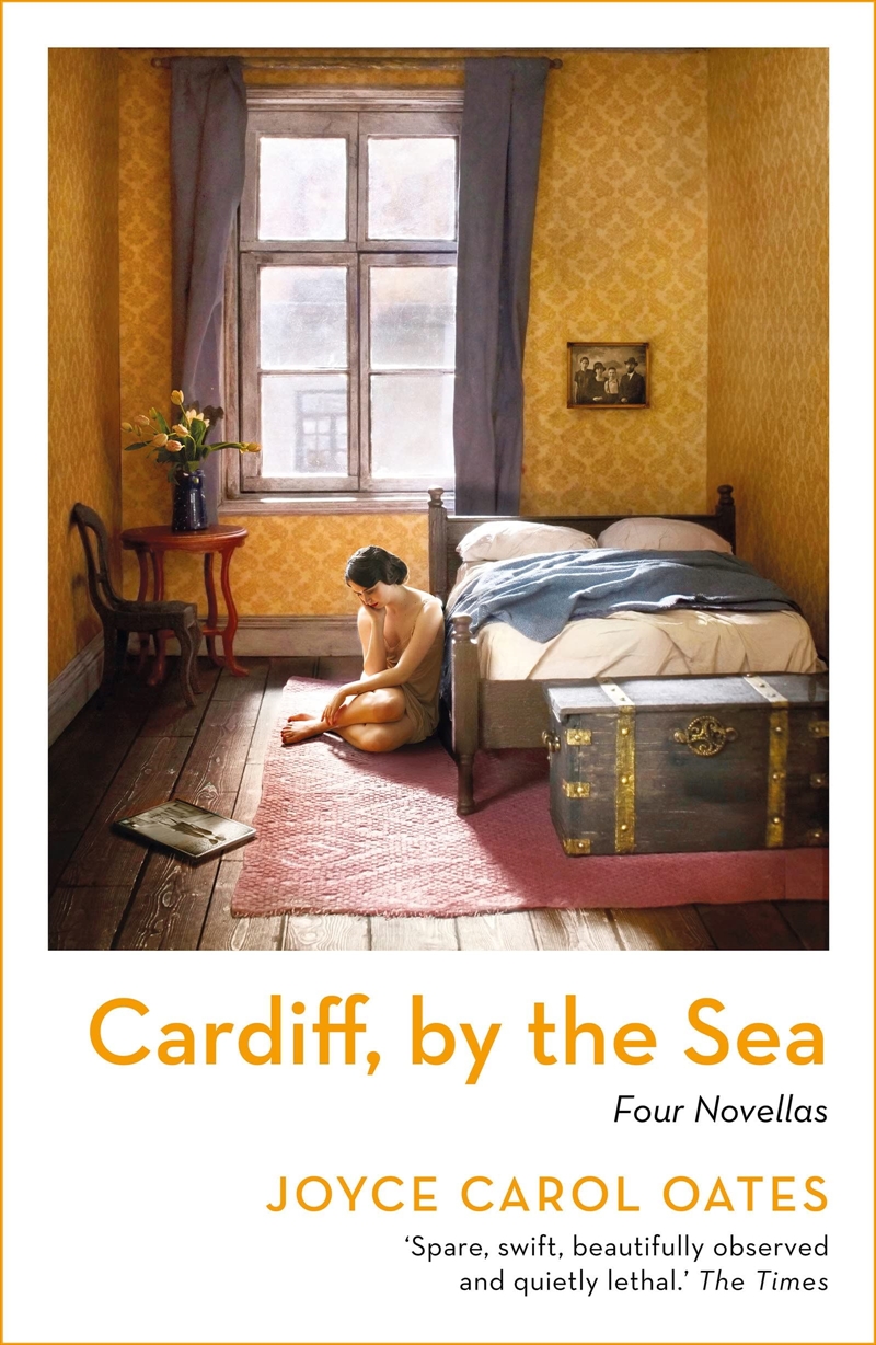 Cardiff, by the Sea/Product Detail/Crime & Mystery Fiction