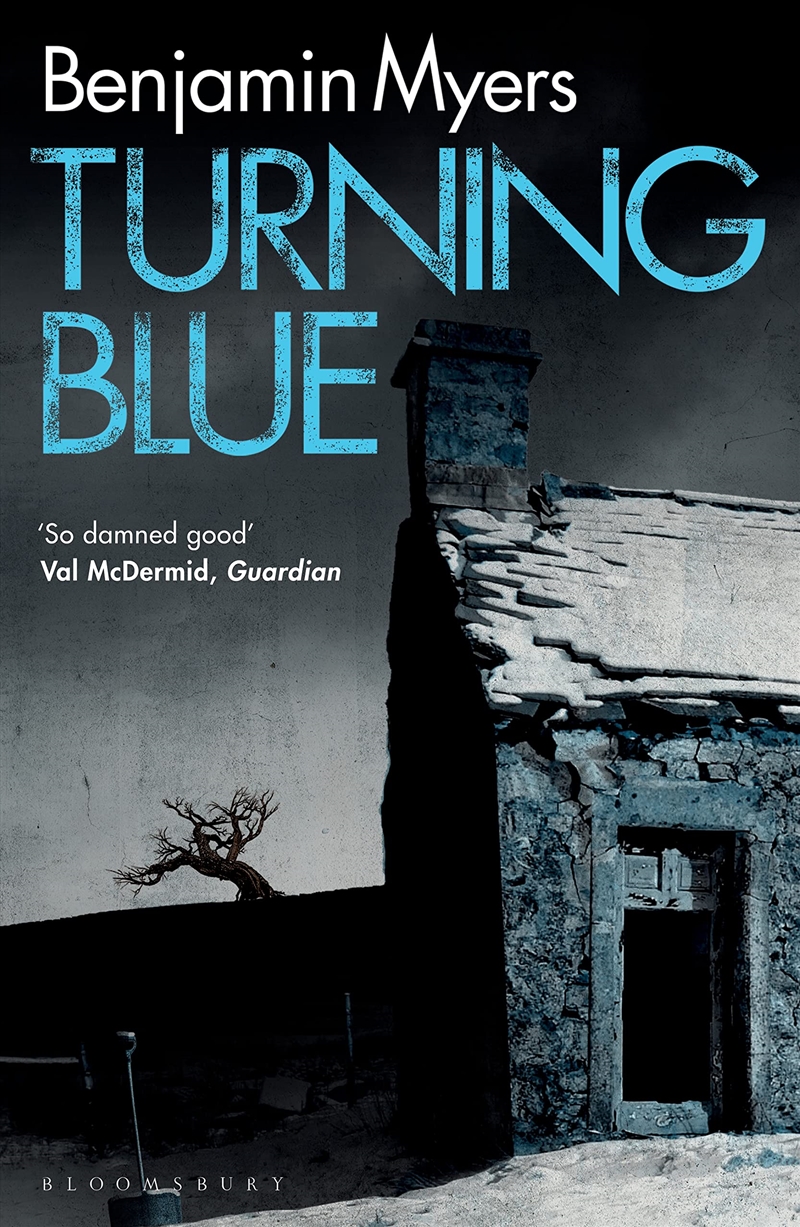 Turning Blue/Product Detail/Crime & Mystery Fiction