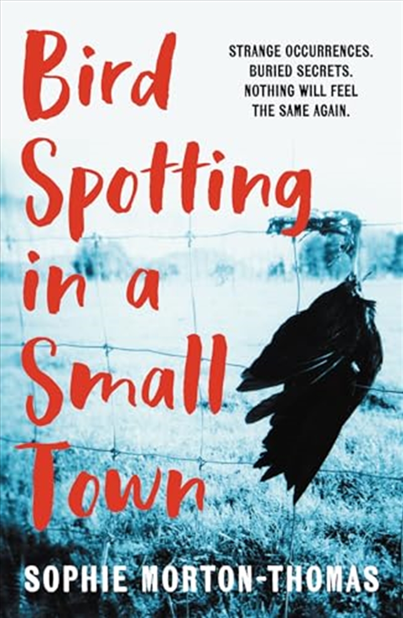 Bird Spotting In A Small Town/Product Detail/Crime & Mystery Fiction