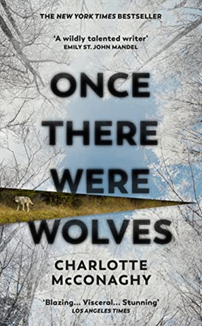 Once There Were Wolves/Product Detail/Crime & Mystery Fiction