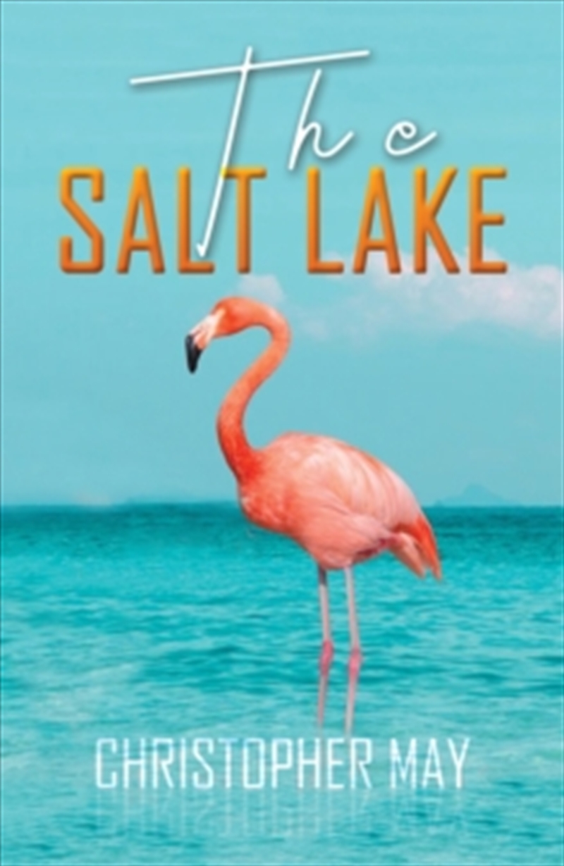 Salt Lake/Product Detail/Crime & Mystery Fiction