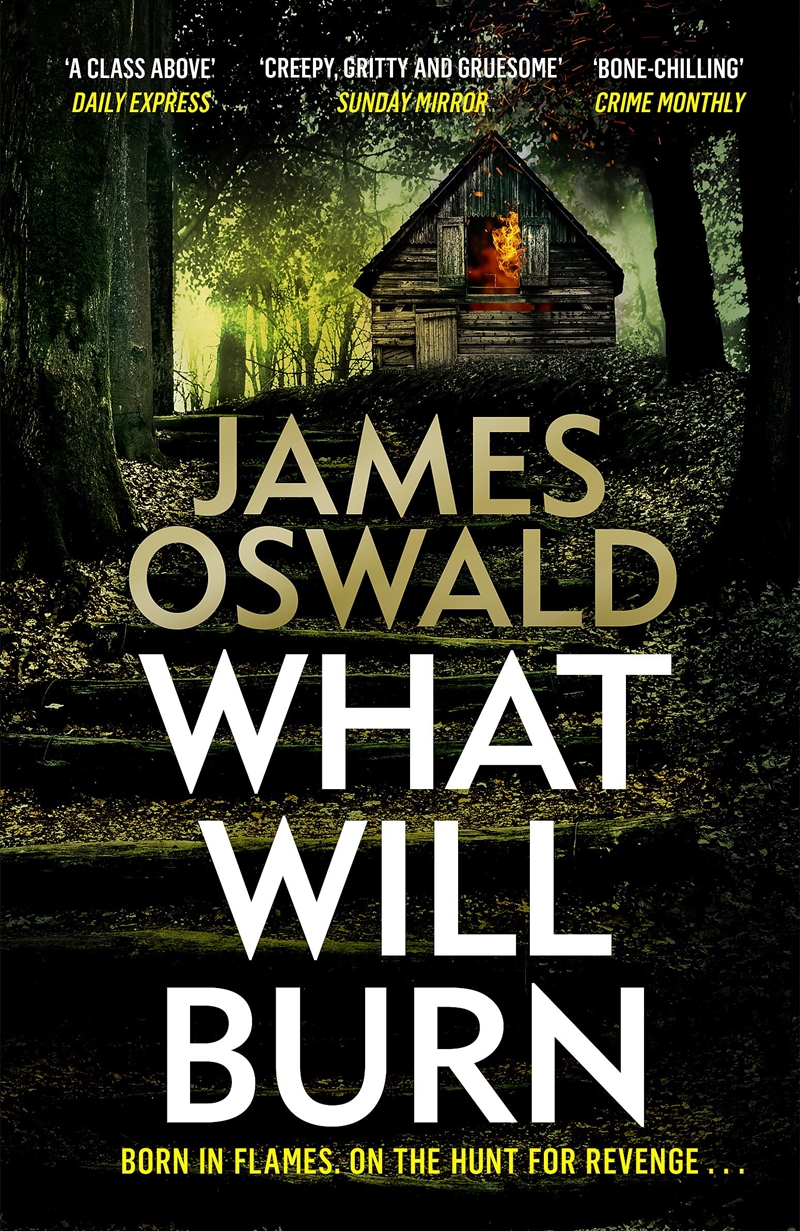 What Will Burn/Product Detail/Crime & Mystery Fiction