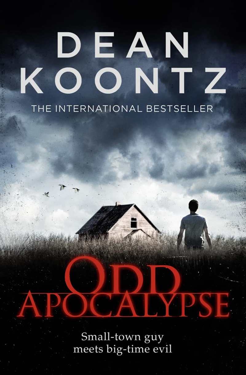 ODD APOCALYPSE PB/Product Detail/Crime & Mystery Fiction