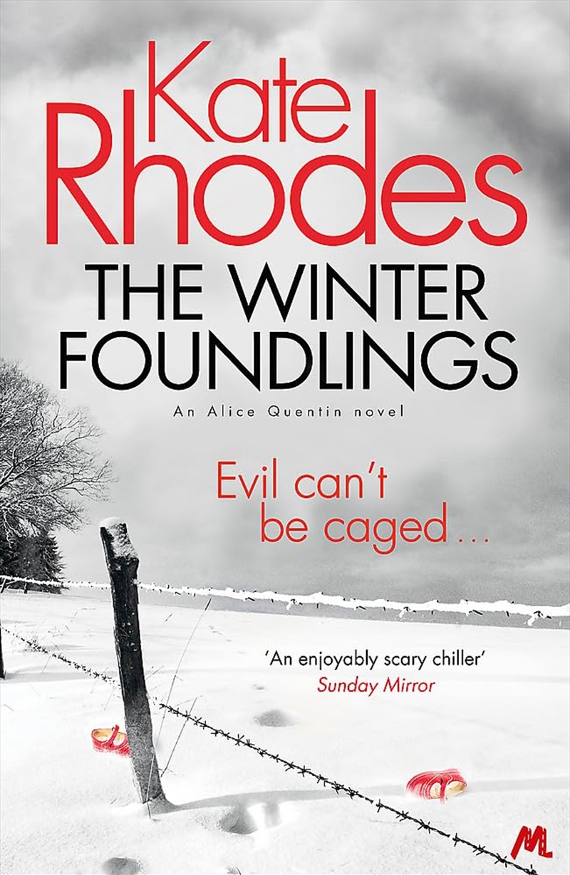 Winter Foundlings/Product Detail/Crime & Mystery Fiction