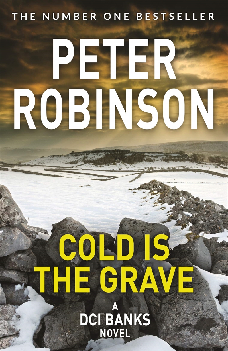 Cold Is The Grave/Product Detail/Crime & Mystery Fiction