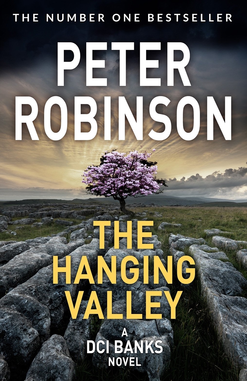 Hanging Valley/Product Detail/Crime & Mystery Fiction