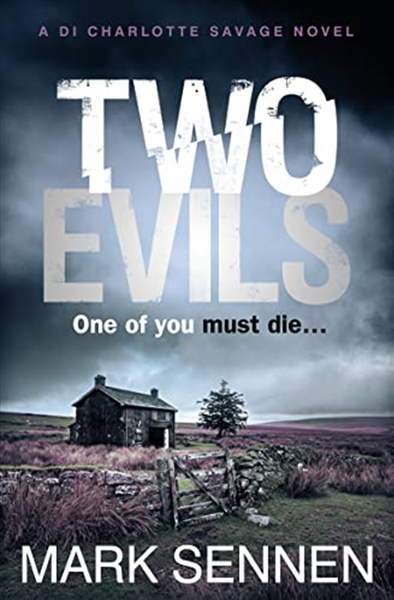 Two Evils/Product Detail/Crime & Mystery Fiction