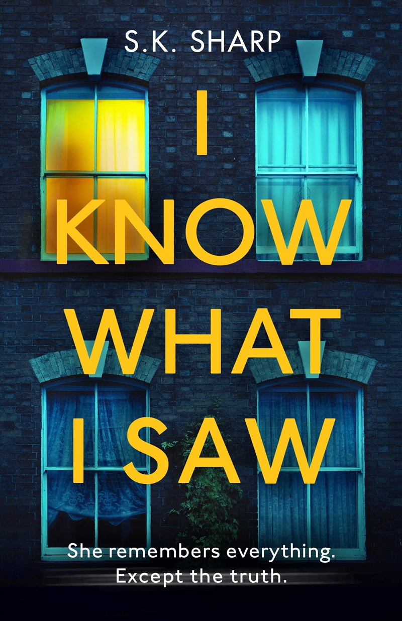 I Know What I Saw/Product Detail/Crime & Mystery Fiction