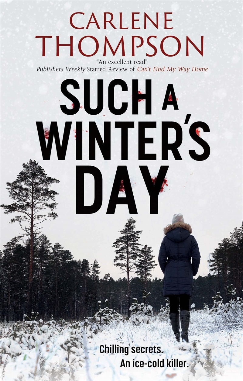 Such A Winters Day/Product Detail/Crime & Mystery Fiction