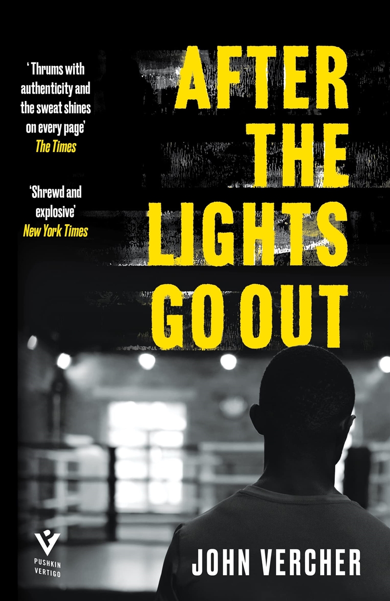 After The Lights Go Out/Product Detail/Crime & Mystery Fiction