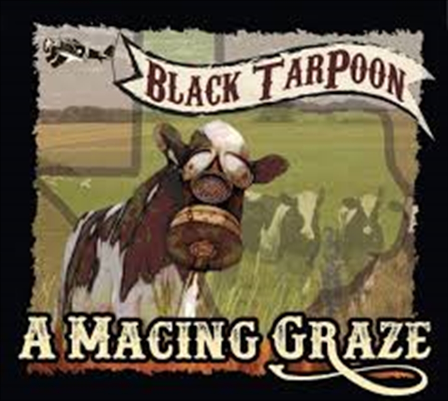 Macing Graze/Product Detail/Rock/Pop