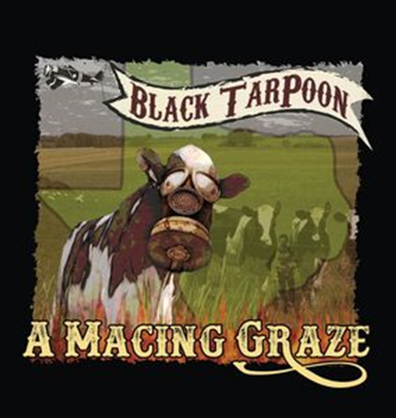 Macing Graze/Product Detail/Rock/Pop