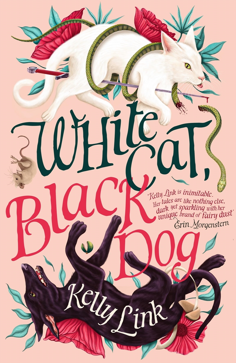 White Cat Black Dog/Product Detail/Fantasy Fiction