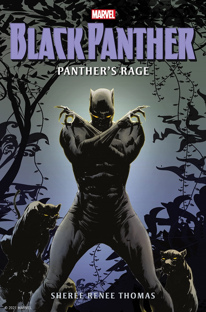 Black Panther Panthers Rage/Product Detail/Fantasy Fiction