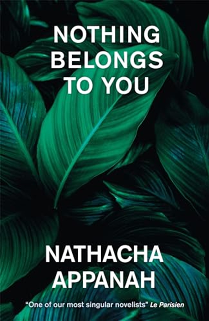 Nothing Belongs to You/Product Detail/General Fiction Books