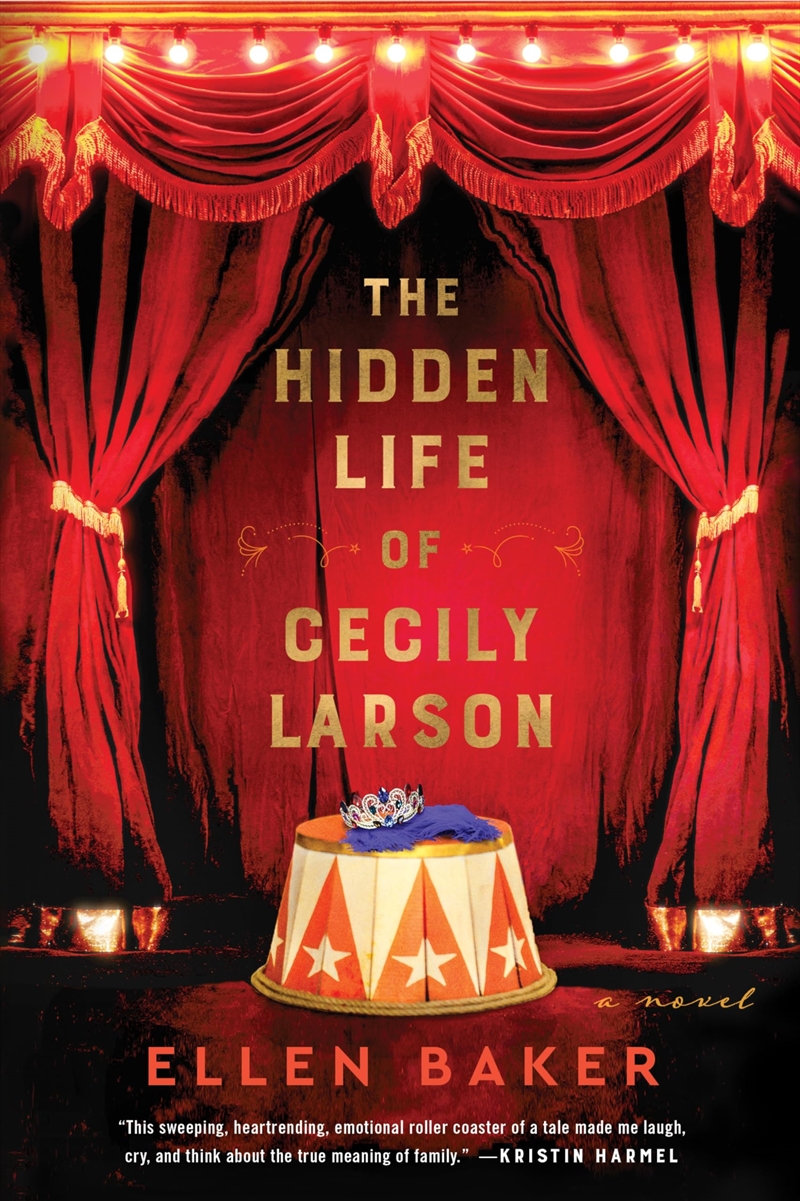 Hidden Life Of Cecily Larson/Product Detail/General Fiction Books