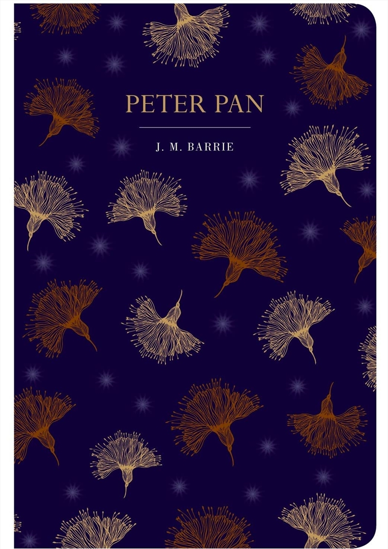 Peter Pan (Chiltern Classic)/Product Detail/General Fiction Books