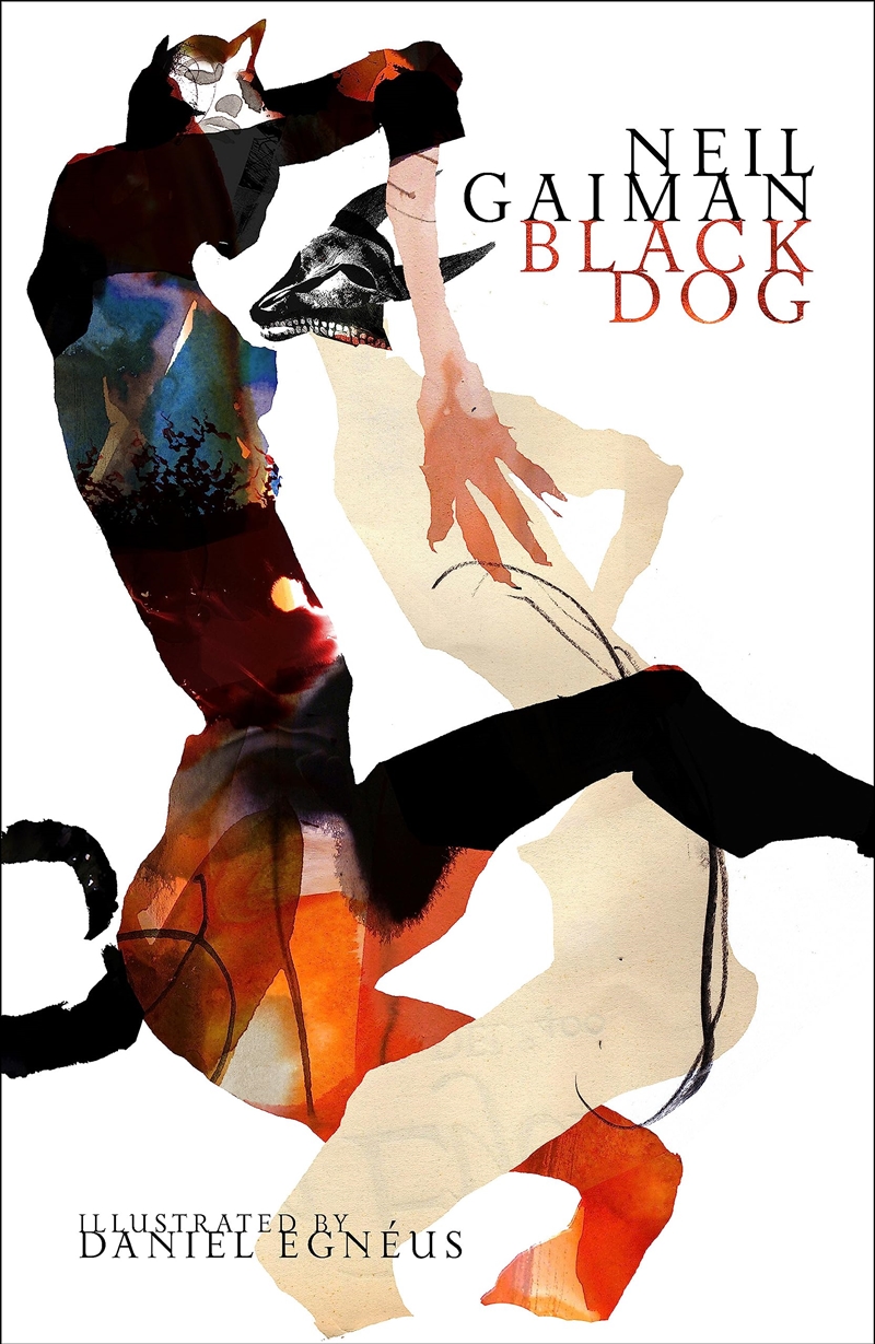 Black Dog Illustrated Edition/Product Detail/General Fiction Books