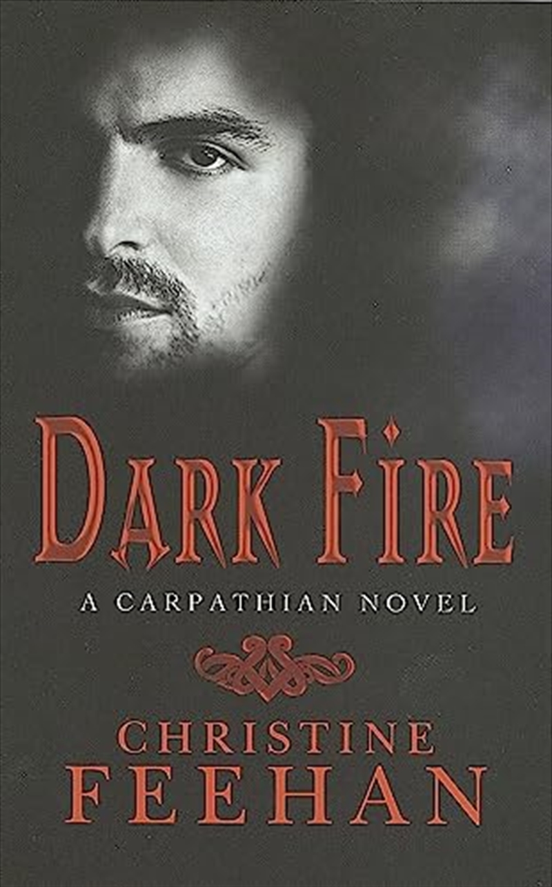 Dark Fire/Product Detail/General Fiction Books