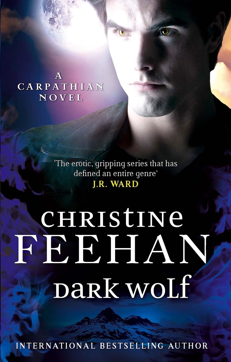 Dark Wolf/Product Detail/General Fiction Books