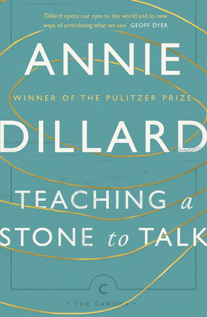 Teaching A Stone To Talk/Product Detail/General Fiction Books