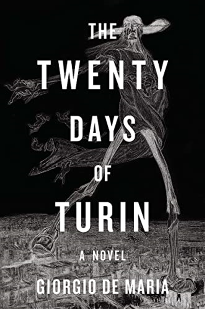 The Twenty Days Of Turin A Novel/Product Detail/General Fiction Books