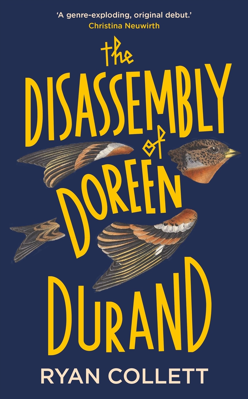 Disassembly Of Doreen Durand/Product Detail/General Fiction Books