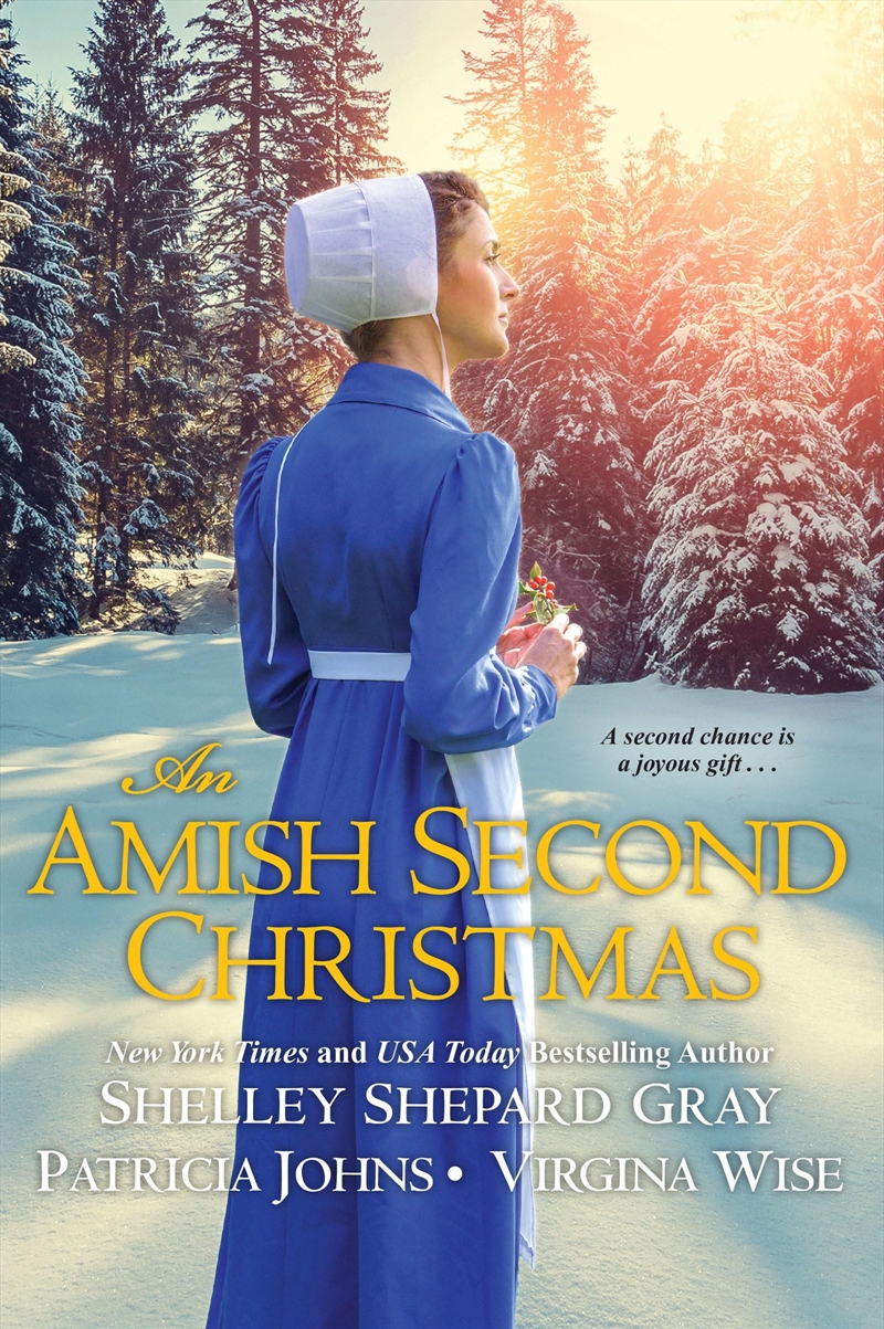 Amish Second Christmas/Product Detail/General Fiction Books