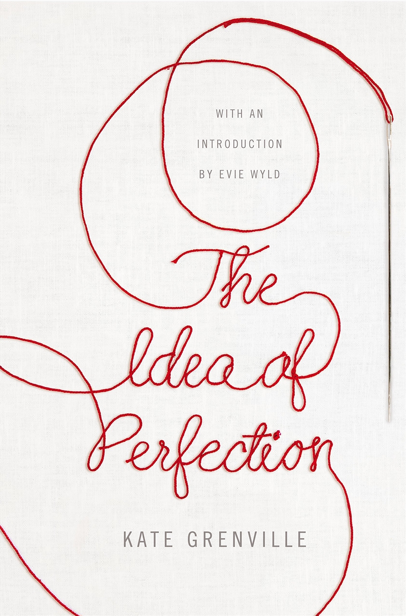 Idea Of Perfection/Product Detail/General Fiction Books