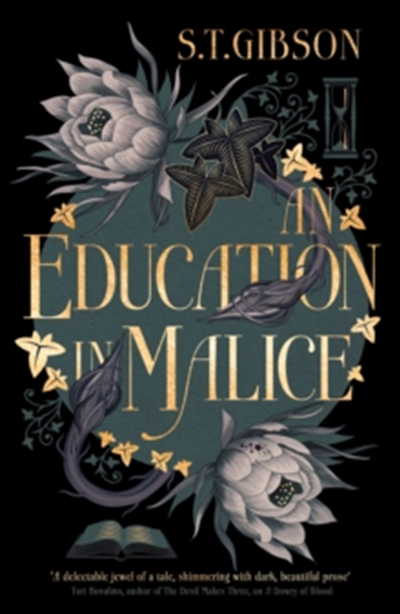 Education In Malice/Product Detail/Fantasy Fiction