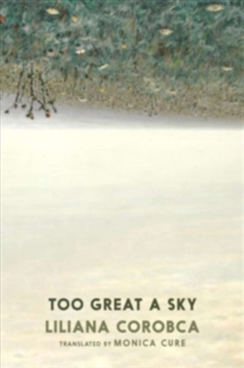 Too Great A Sky/Product Detail/General Fiction Books