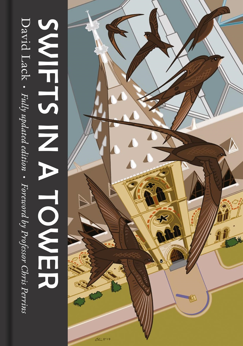 Swifts In A Tower/Product Detail/General Fiction Books