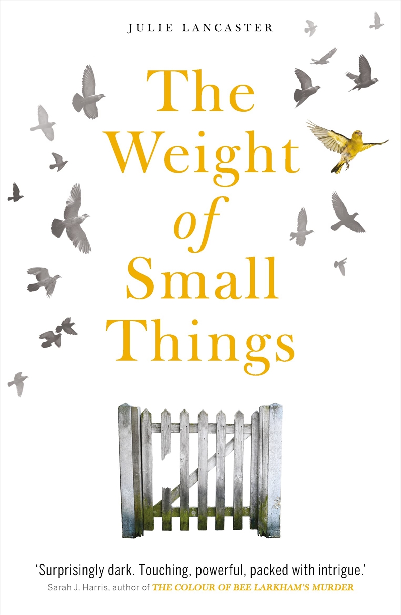 Weight Of Small Things/Product Detail/General Fiction Books