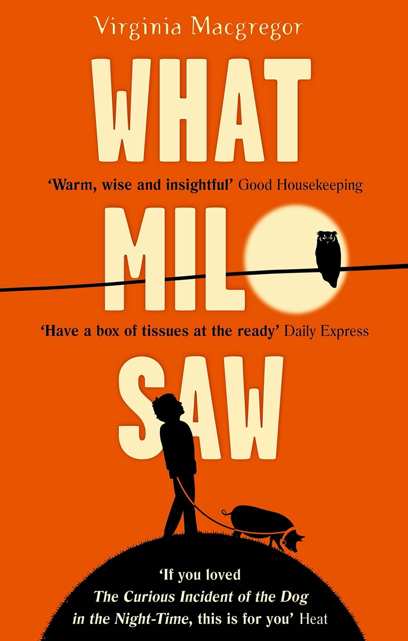 What Milo Saw/Product Detail/General Fiction Books