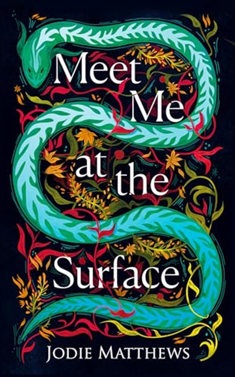 Meet Me At The Surface/Product Detail/General Fiction Books