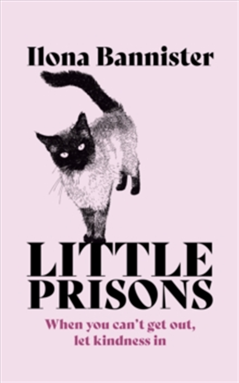 Little Prisons/Product Detail/General Fiction Books