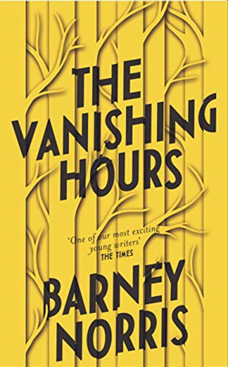 Vanishing Hours/Product Detail/General Fiction Books