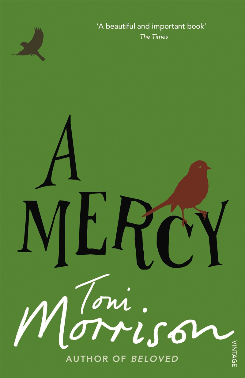 Mercy/Product Detail/General Fiction Books